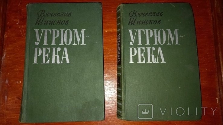 В. Шишков. Похмура река