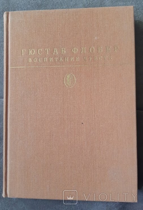 Г. Флобер. Воспитание чувств
