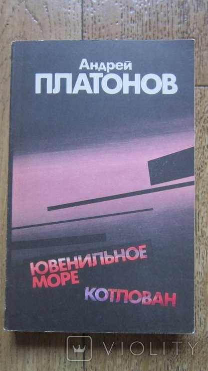 А. Платонов. Ювенильное море. Котлован