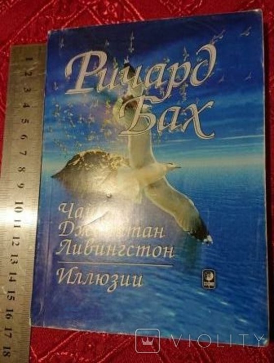 Р. Бах. Чайка Джонатан Ливингстон, иллюзии