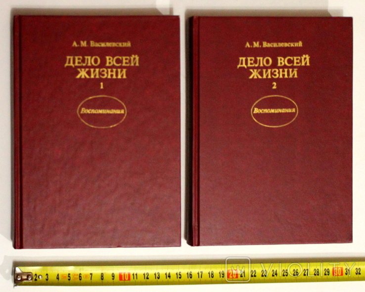 А. Василевский. Дело всей жизни