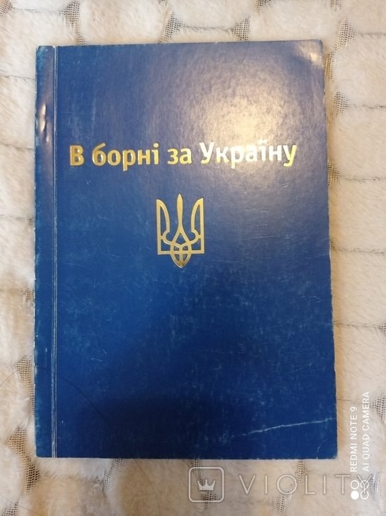 В борьбе за Украину