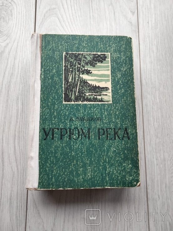В. Шишков. Похмура река