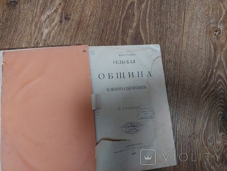 К.Ф. Головин. Сельская община в литературе и действительности