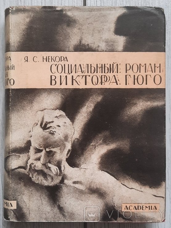 В. Гюго. Социальный роман