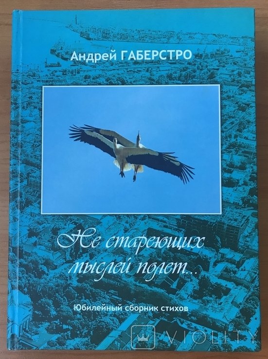 А. Габерстро. Не стареющих мыслей полёт