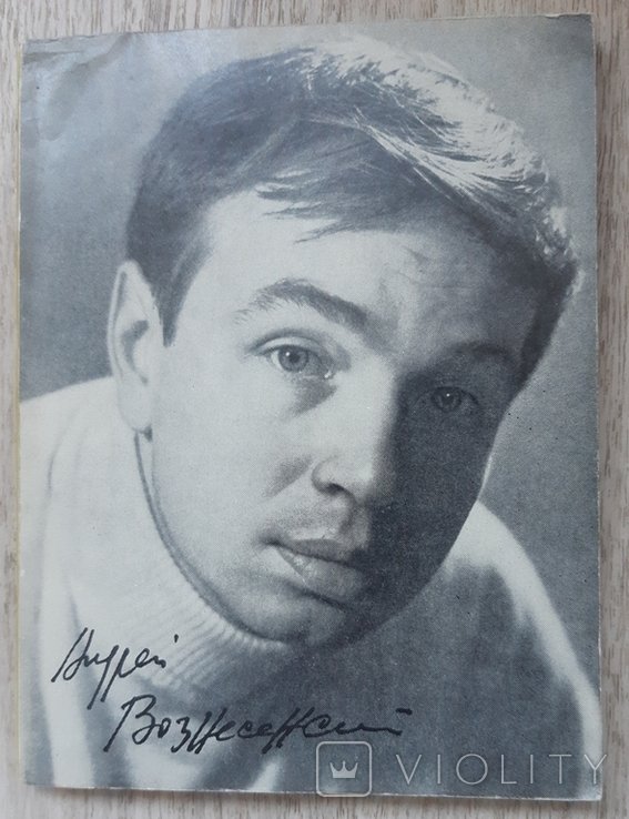 А. Вознесенский. Взгляд