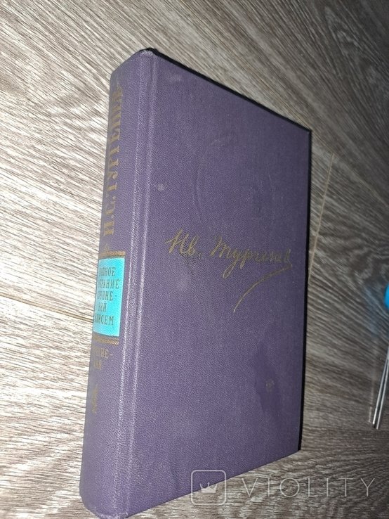И.С. Тургенев. Тургенев