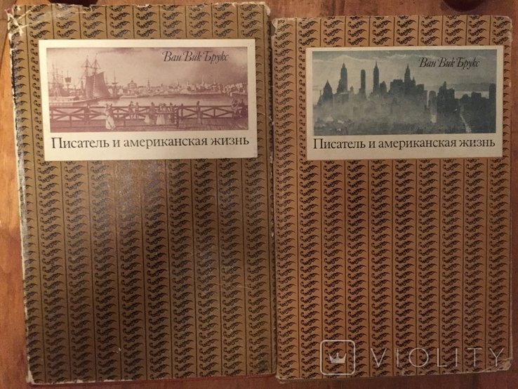 В.Б. Брукс. Писатель и американская жизнь