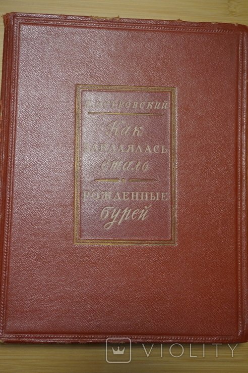 Н. Островский. Как закалялась сталь. Рожденные бурей