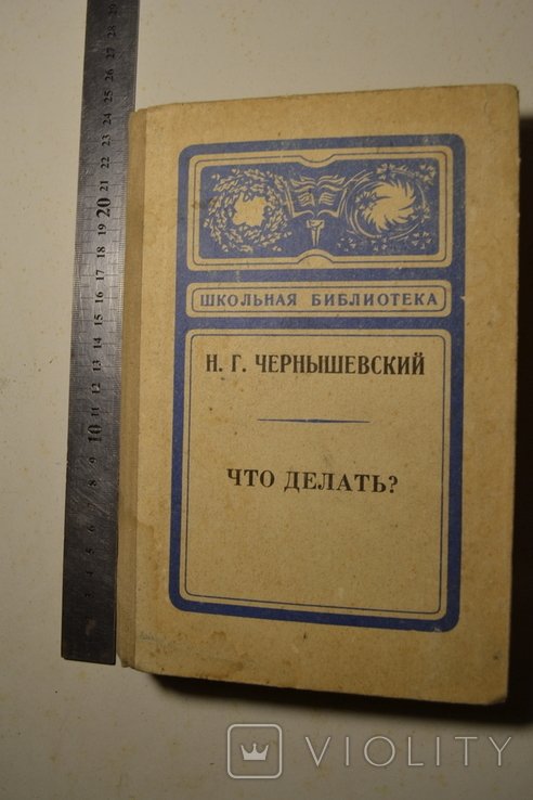 Н.Г. Чернышевский. Что делать?