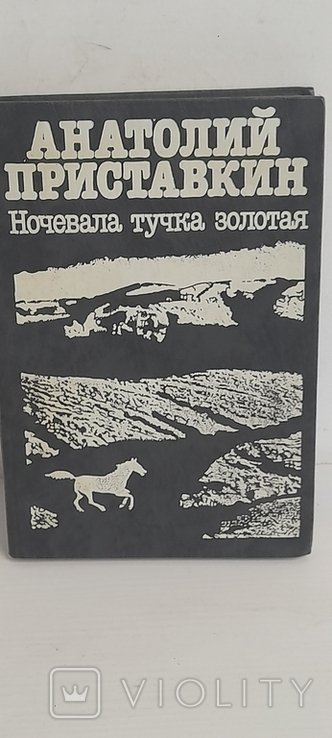 А. Приставкин. Ночевала тучка золотая