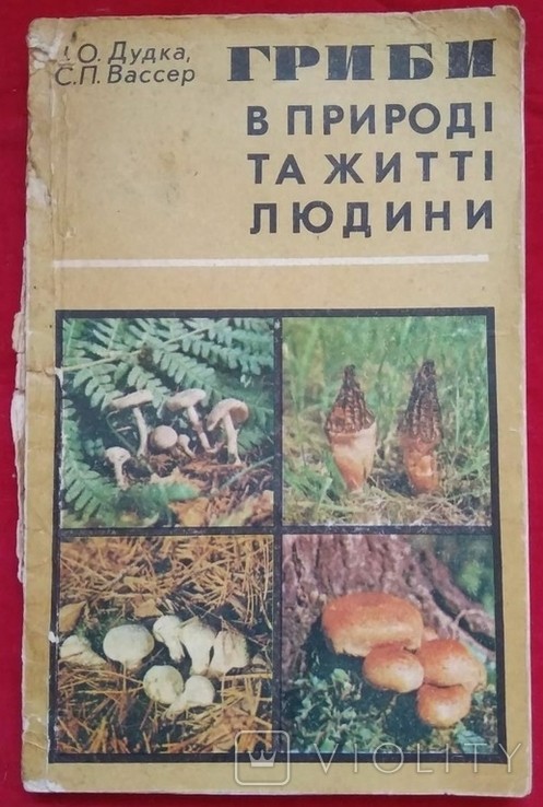 И.О. Дудка, С.П. Вассер. Гриби в природі та житті людини