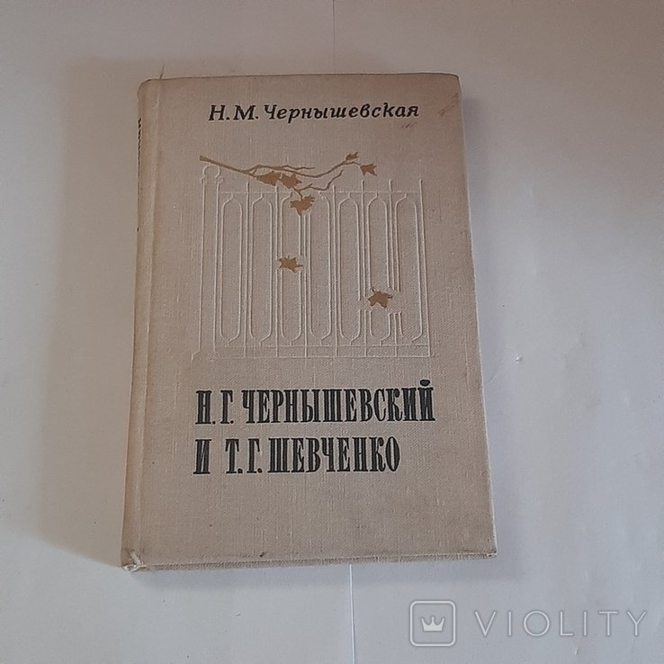 Н.Г. Чернышевский. Н.Г. Чернышевский и Т.Г. Шевченко