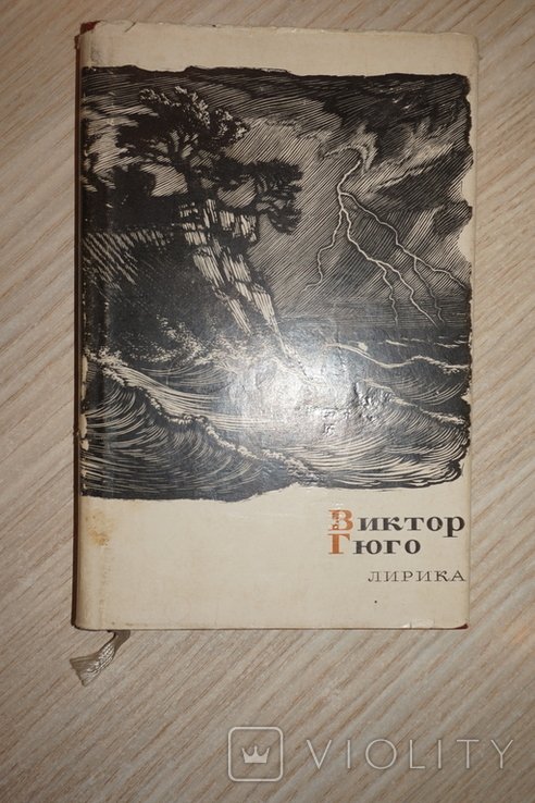 В. Гюго. Лирика