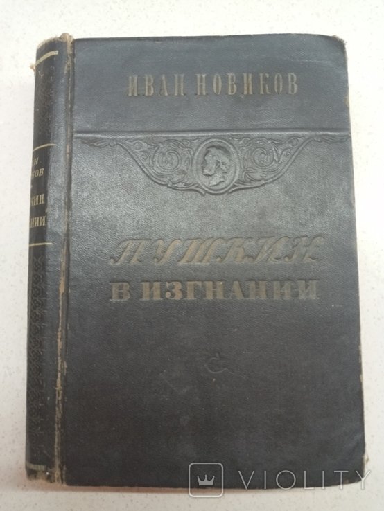 И. Новиков. Пушкин в изгнании