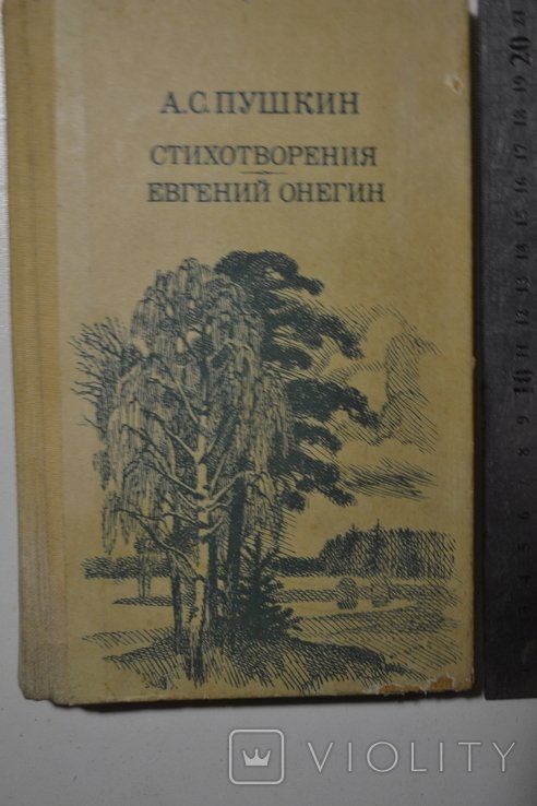 А.С. Пушкин. Стихотворения. Евгений Онегин