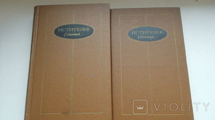 И.С. Тургенев. Сочинения. Том 2 и 3