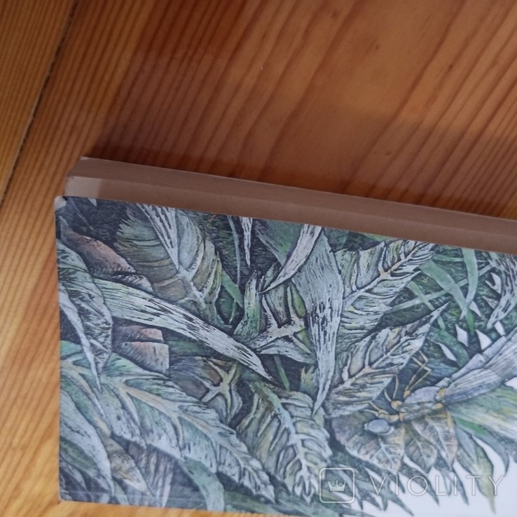 Thumbnail 3