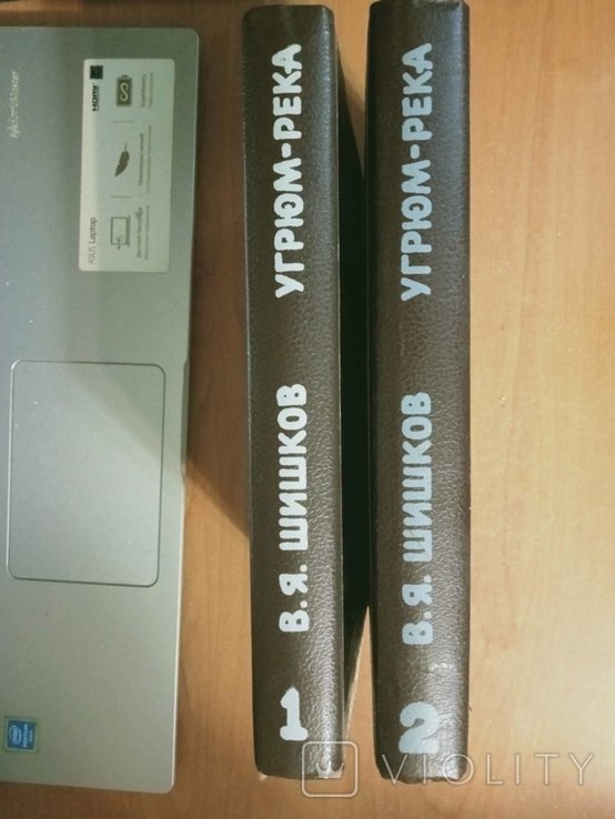 В.Я. Шишков. Угрюмрека
