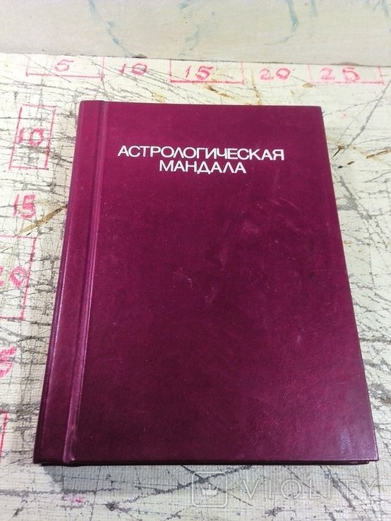 Д. Редиер. Астрологическая мандала