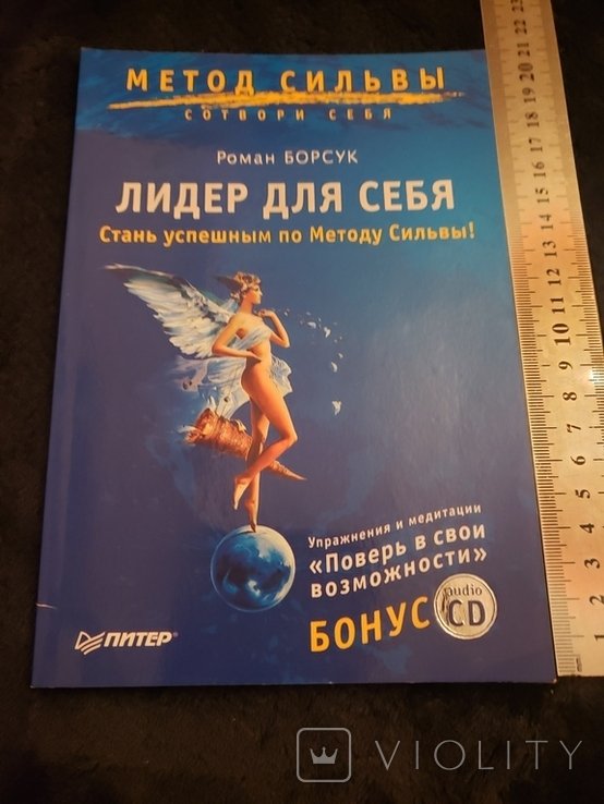 Р. Борсук. Лидер для себя. Стань успешным по Методу Сильвы!