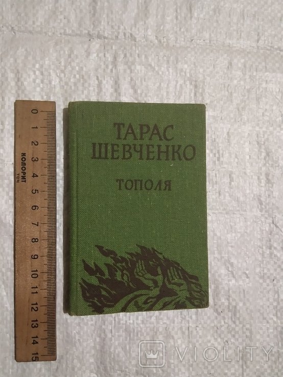 Т. Шевченко. Тополя