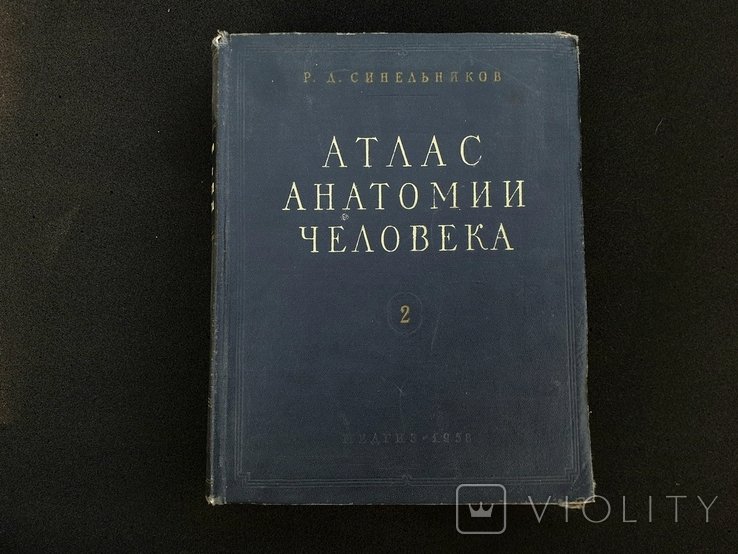 Р.Д. Синельников. Атлас анатомии человека. Том 2