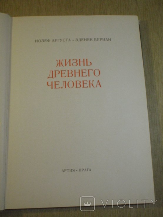 Жизнь древнего человека