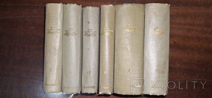 А.С. Пушкин. Академия