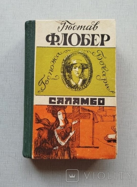 Г. Флобер. Саламбо, Госпожа Бовари