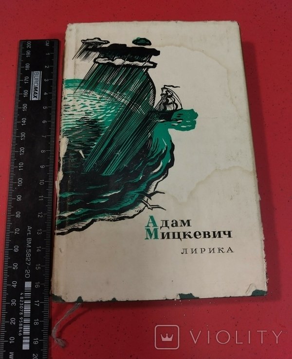 А. Мицкевич. Лирика