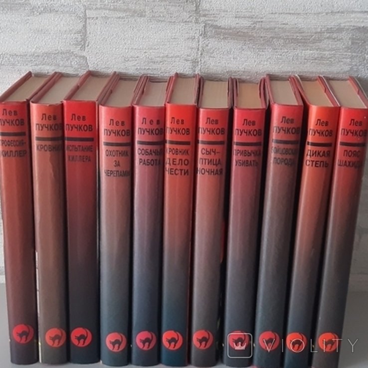 Л. Пучков. 11 книг