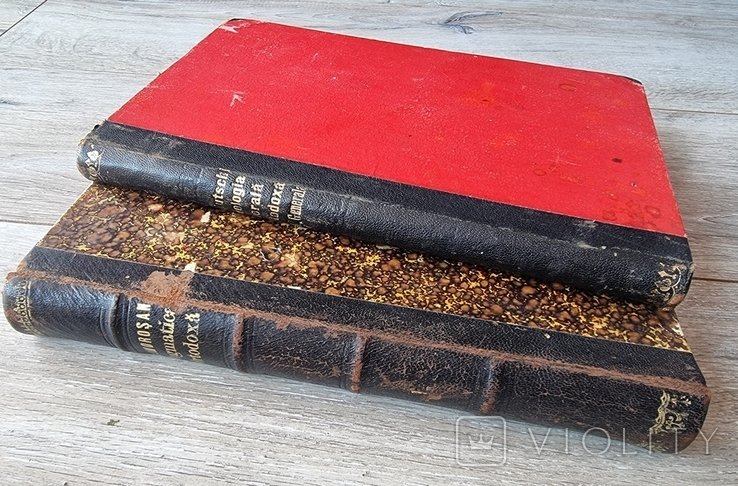 Две книги по теологии
