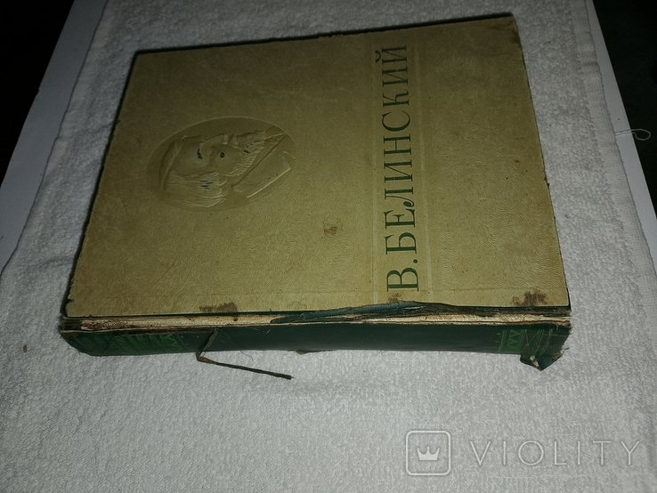 В.Г. Белинский. Избранные сочинения