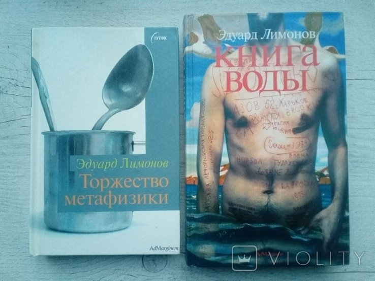 Э. А. Лимонов. Книга воды. Торжество метафизики