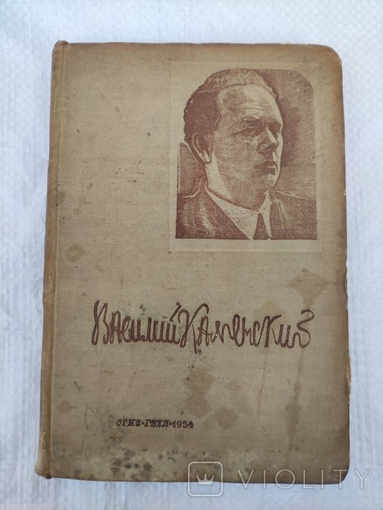 В. Каменский. Избранные стихи
