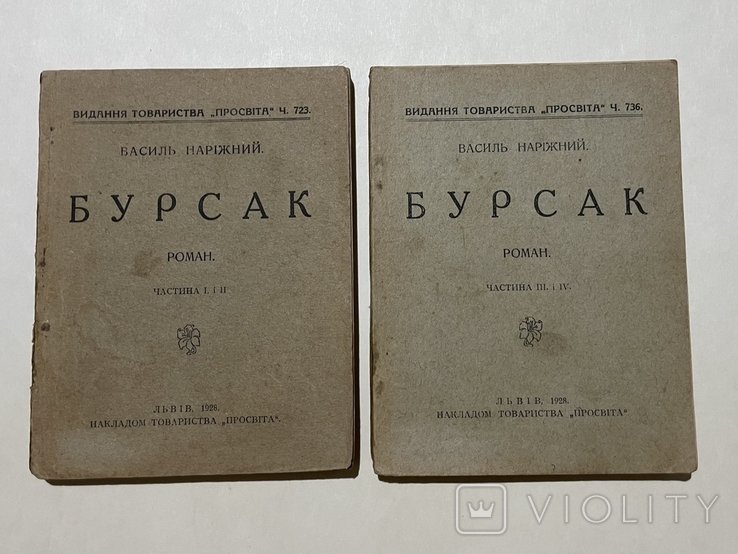 В. Наріжний. Бурсак