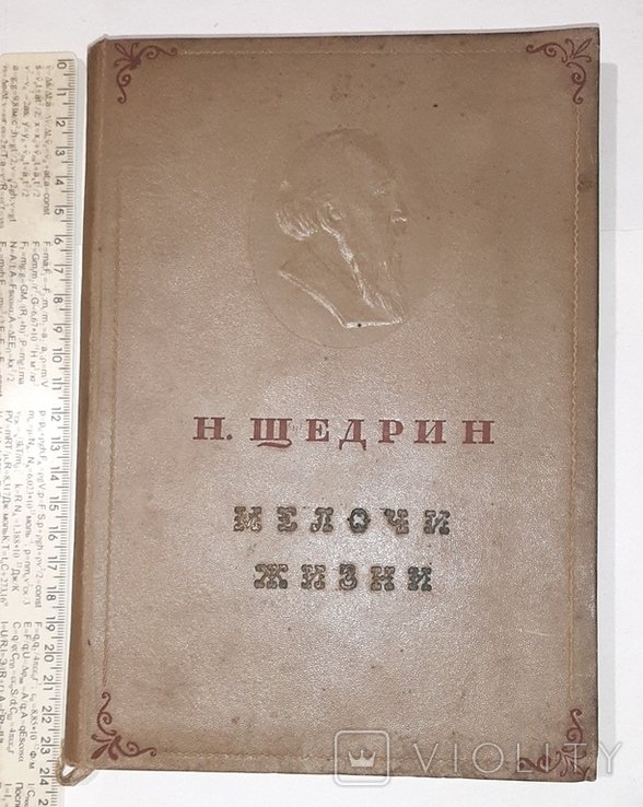 Н. Щедрин. Мелочи жизни