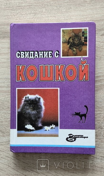 . Свидание с кошкой
