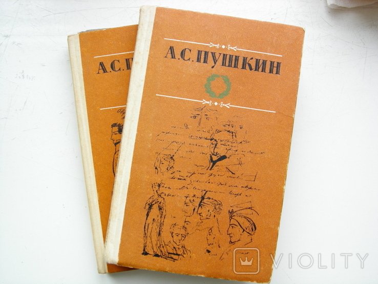 А.С. Пушкин. Избранные произведения в двух томах