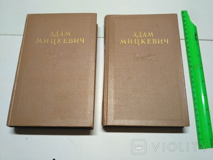 А. Мицкевич. Избранные произведения