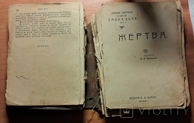 Е. Золя. Карьера Рагунов. Жертва