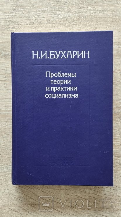 Н.И. Бухарин. Проблемы теории и практики социализма