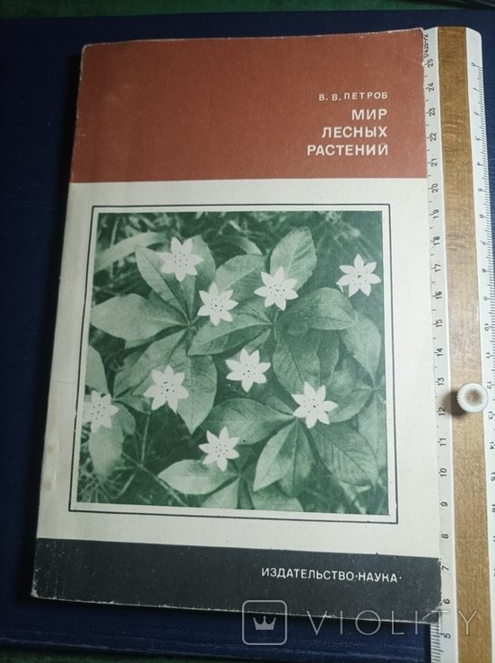 В. Петров. Мир лесных растений