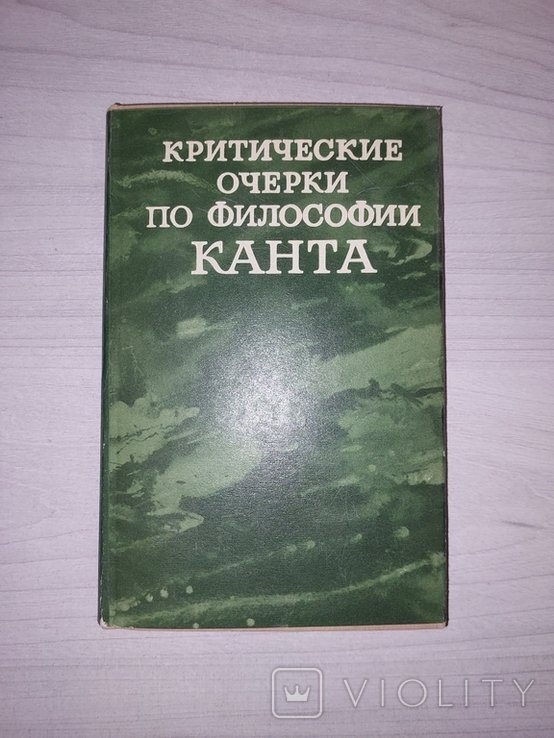 В.И. Шинкарук. Критические очерки по философии Канта