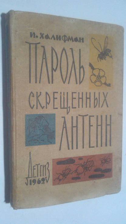 И. Халифман. Пароль скрещенных антенн